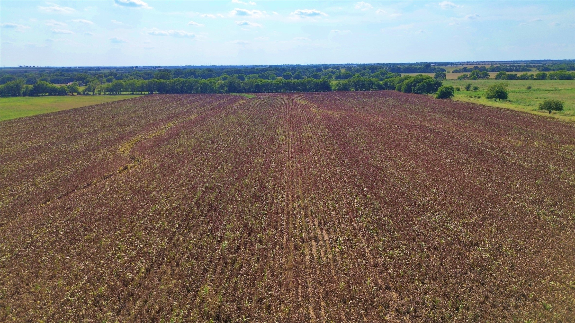 0 Cr 237 Gainesville TX 76240