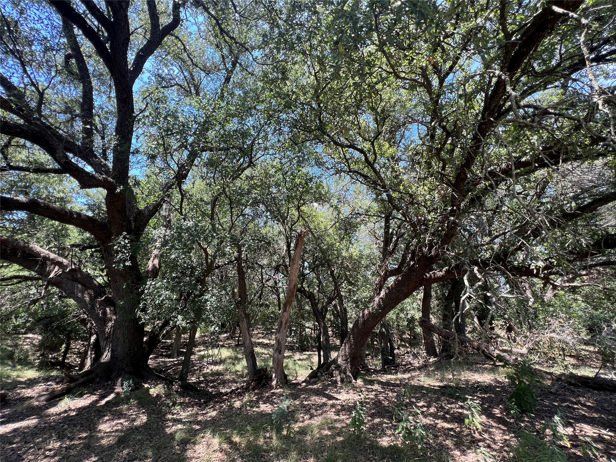 137 County Road 137 Cisco TX 76437