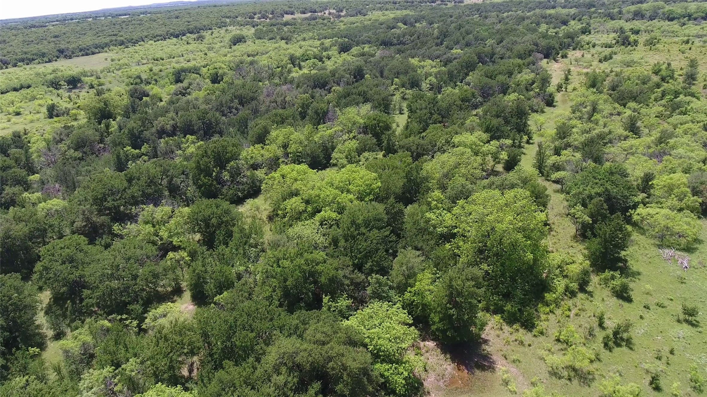 137 County Road 137 Cisco TX 76437