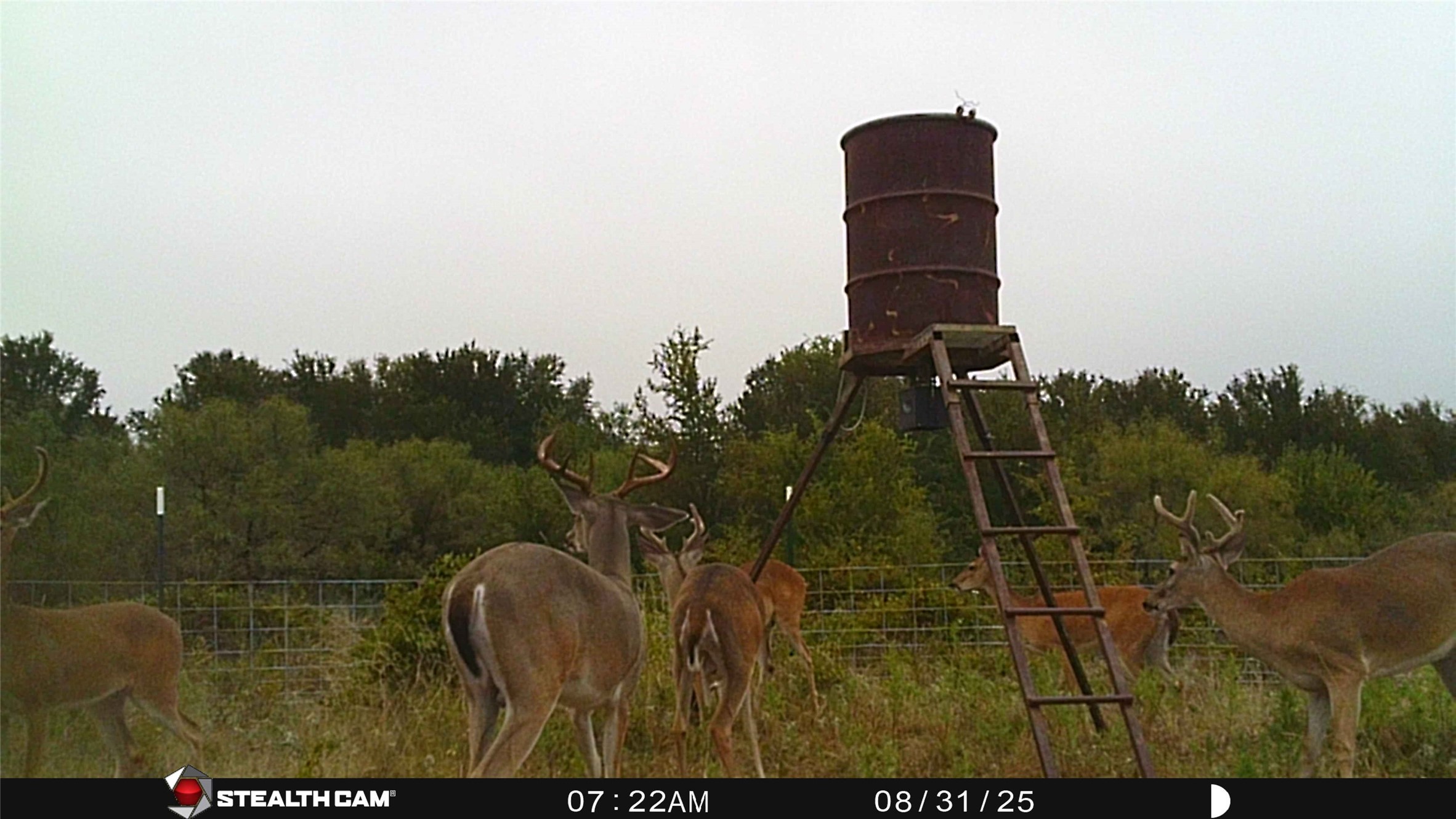 137 County Road 137 Cisco TX 76437