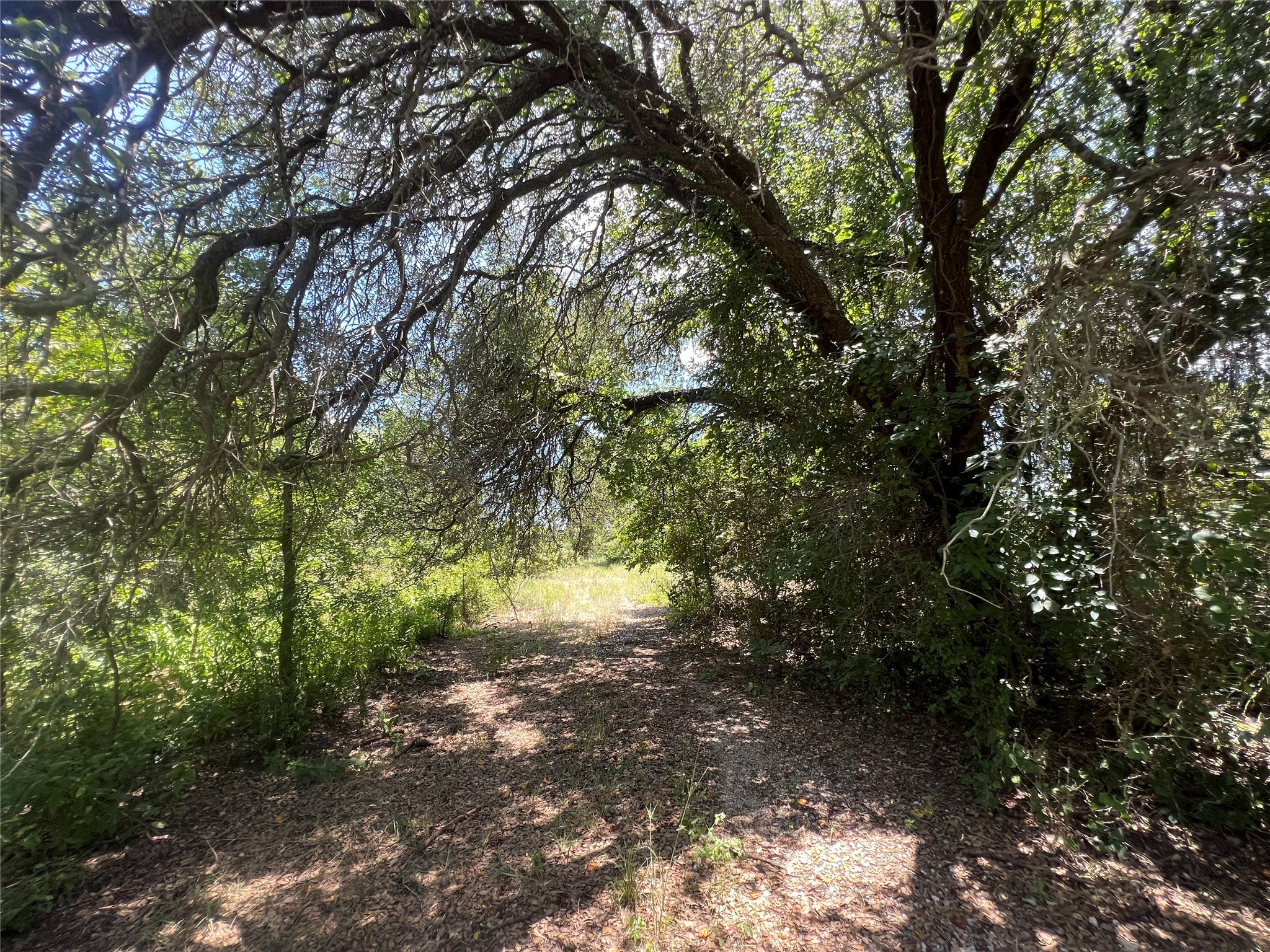 137 County Road 137 Cisco TX 76437
