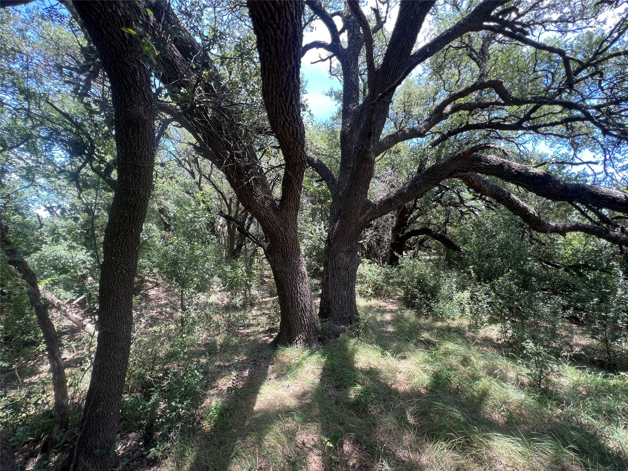 137 County Road 137 Cisco TX 76437