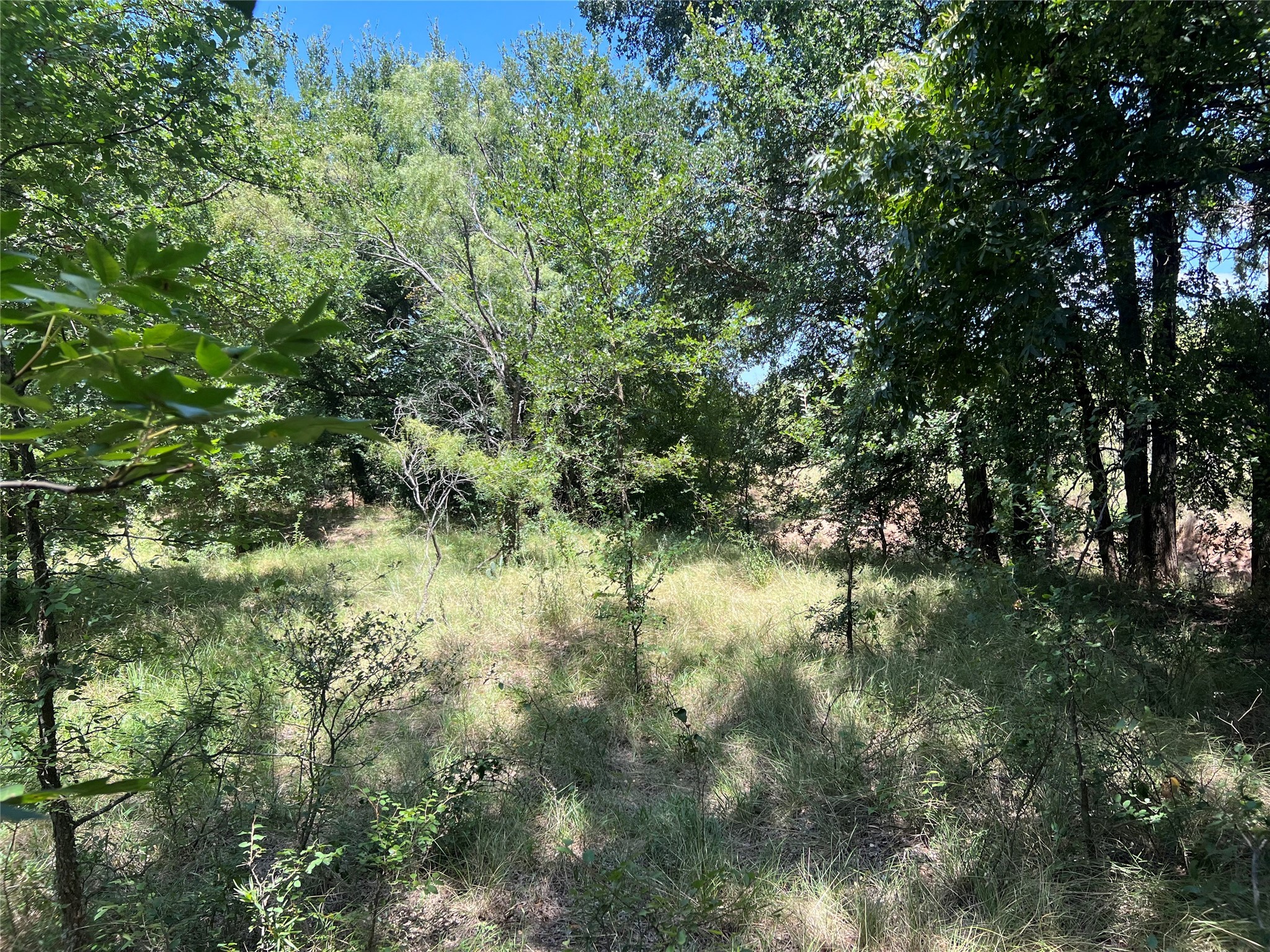 137 County Road 137 Cisco TX 76437