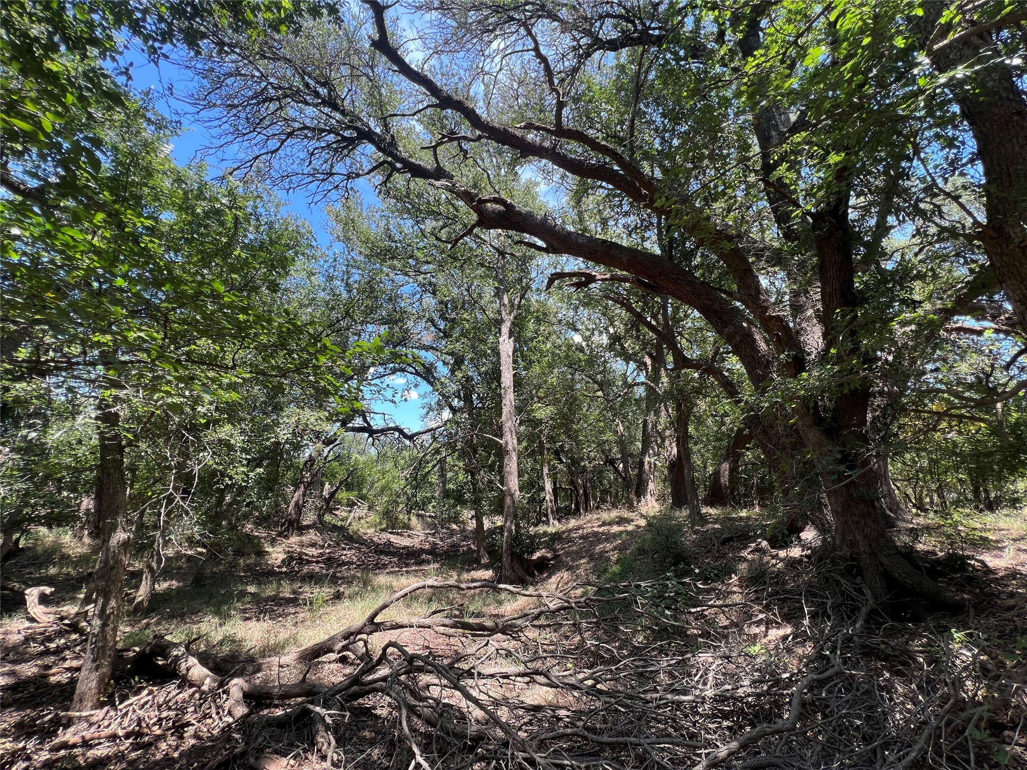137 County Road 137 Cisco TX 76437