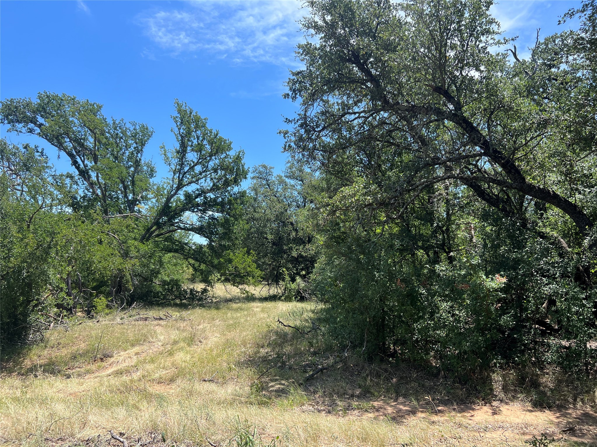 137 County Road 137 Cisco TX 76437