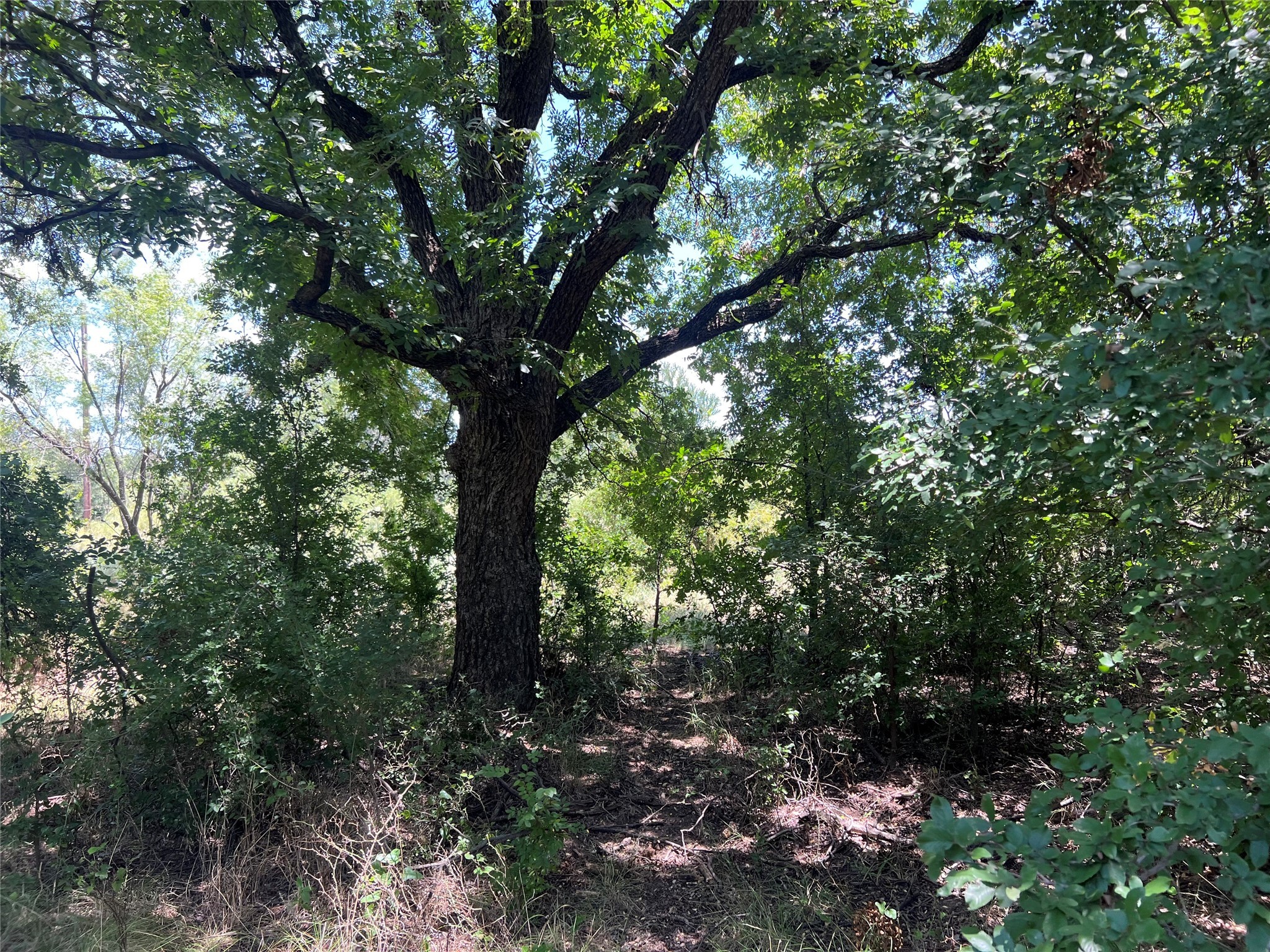 137 County Road 137 Cisco TX 76437