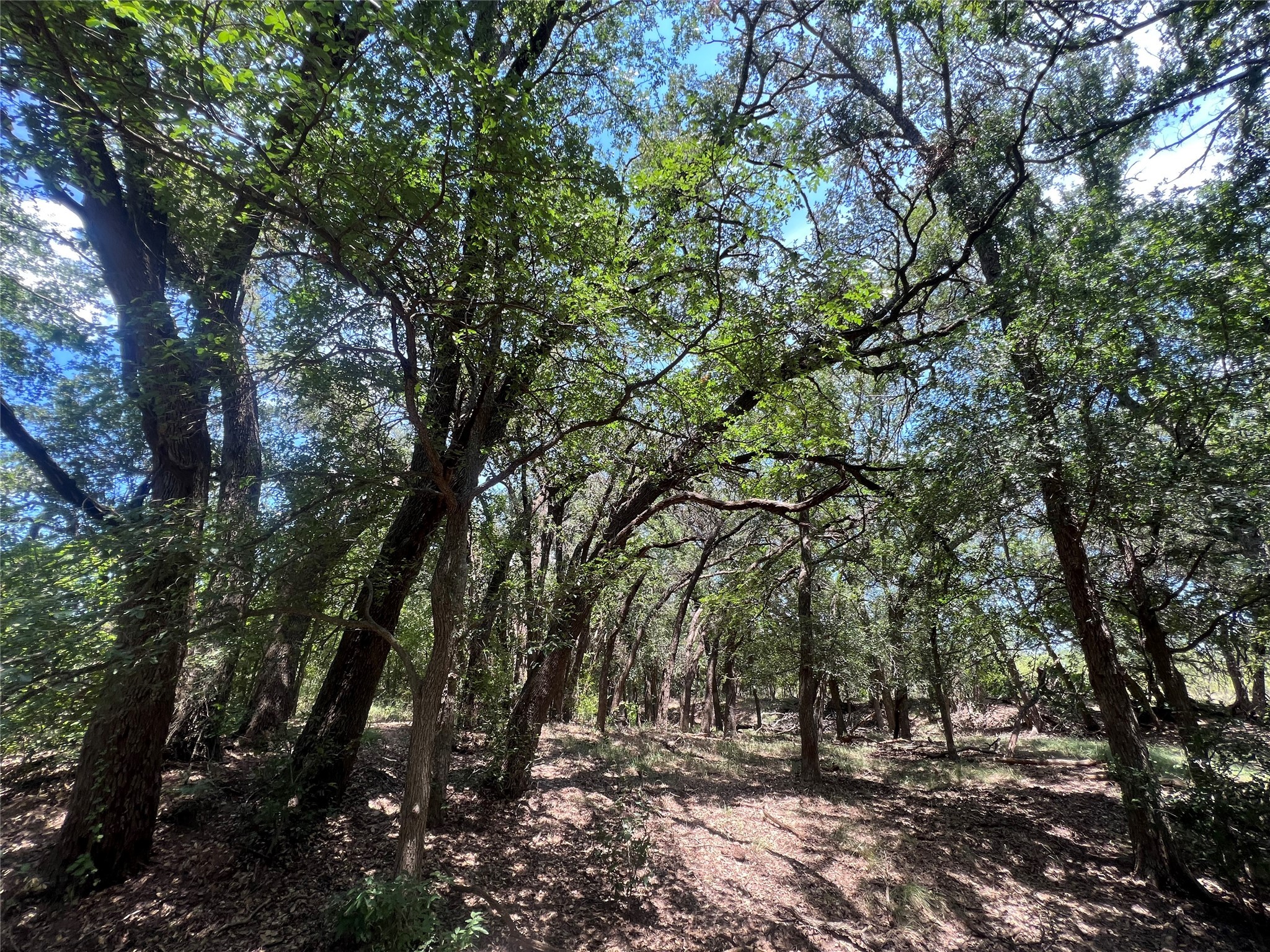 137 County Road 137 Cisco TX 76437