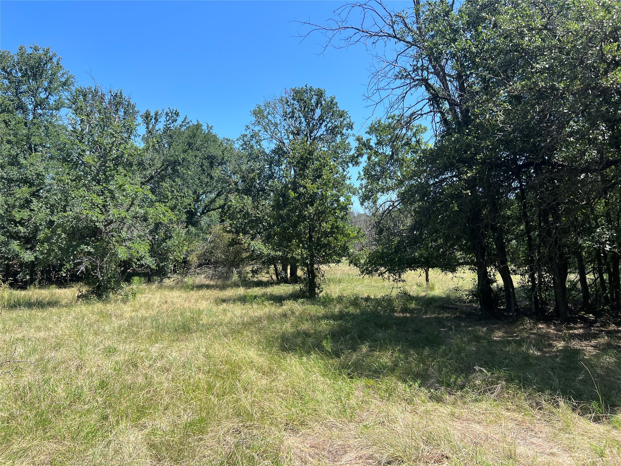 137 County Road 137 Cisco TX 76437