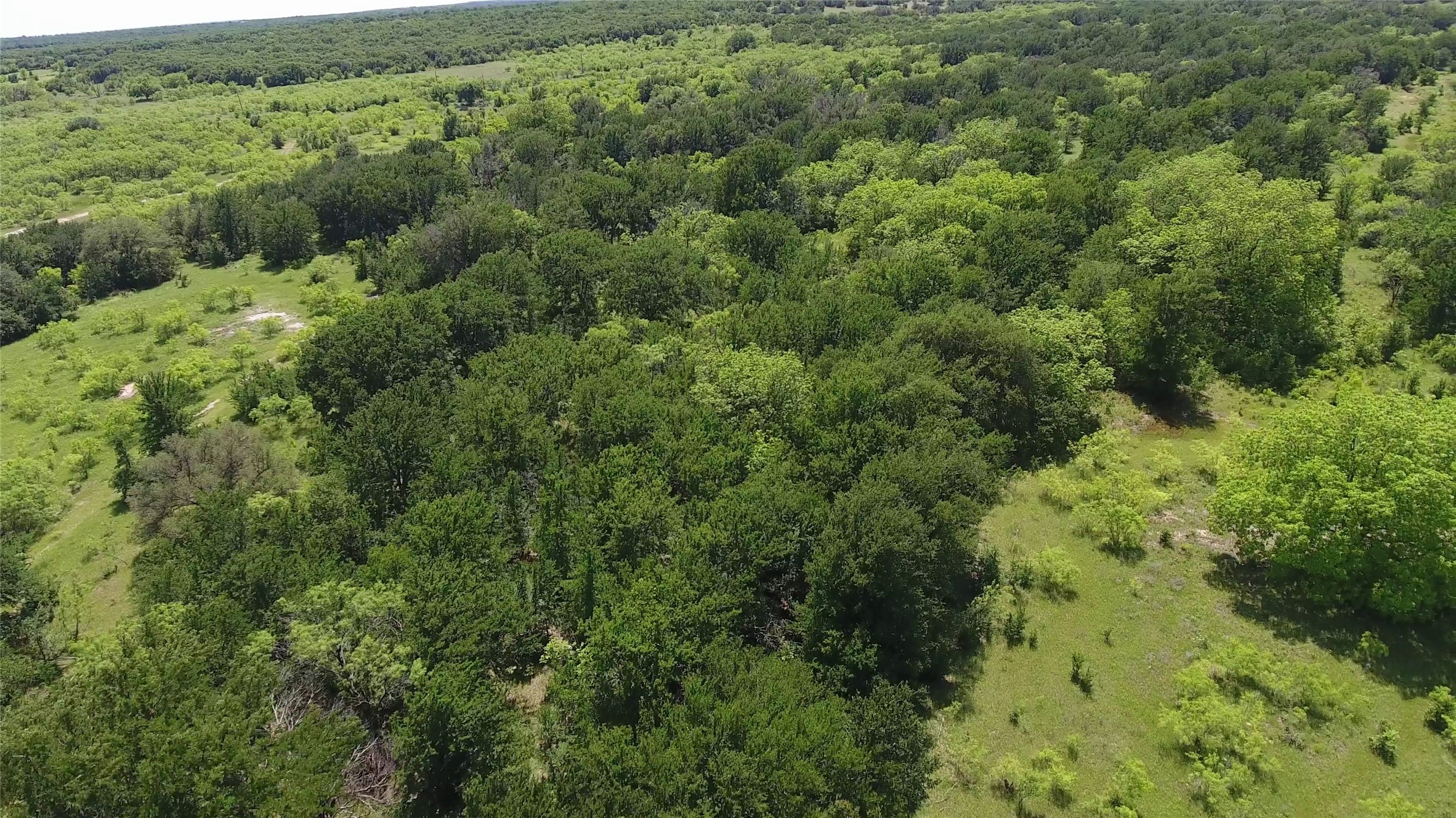 137 County Road 137 Cisco TX 76437