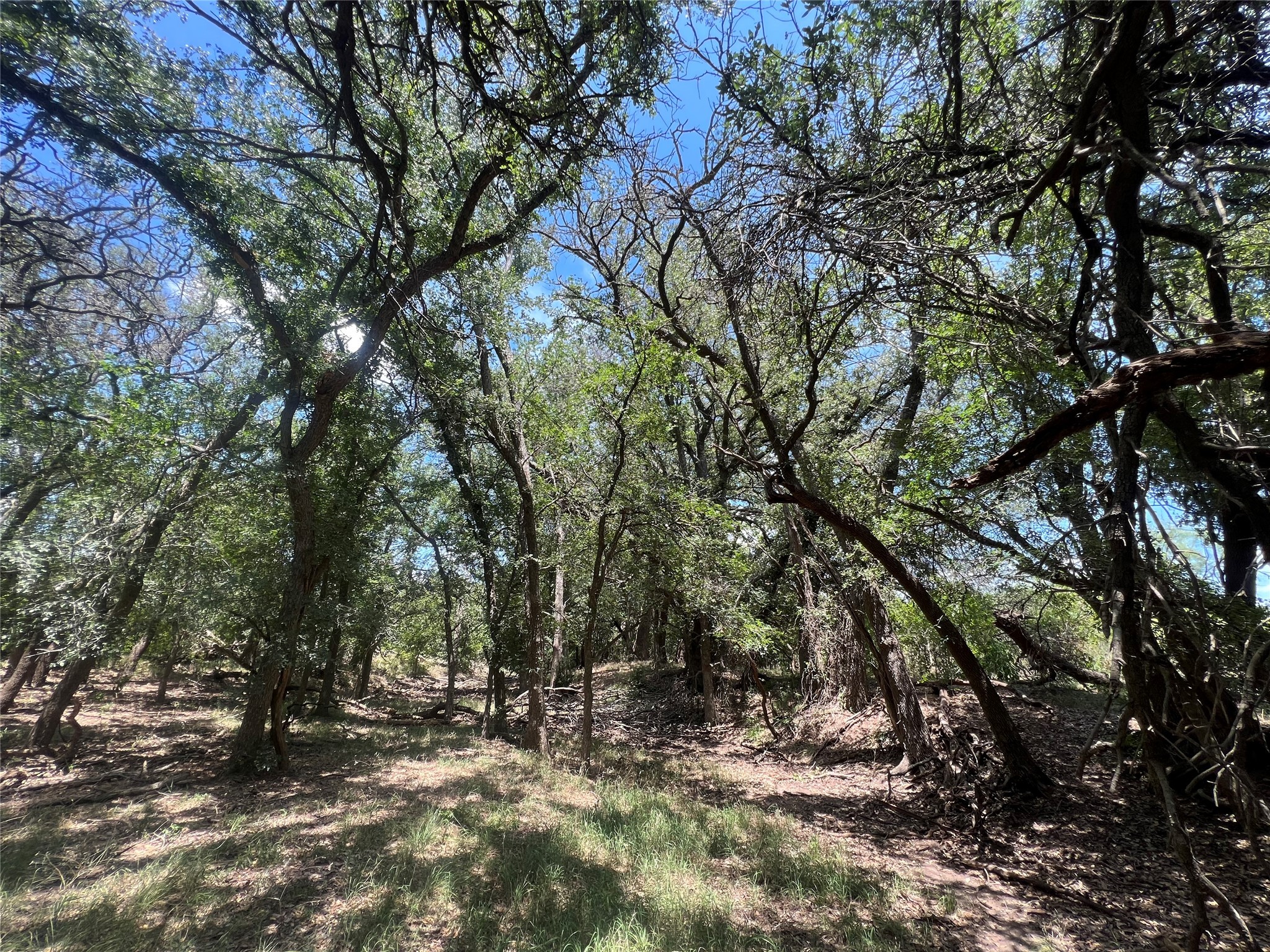 137 County Road 137 Cisco TX 76437