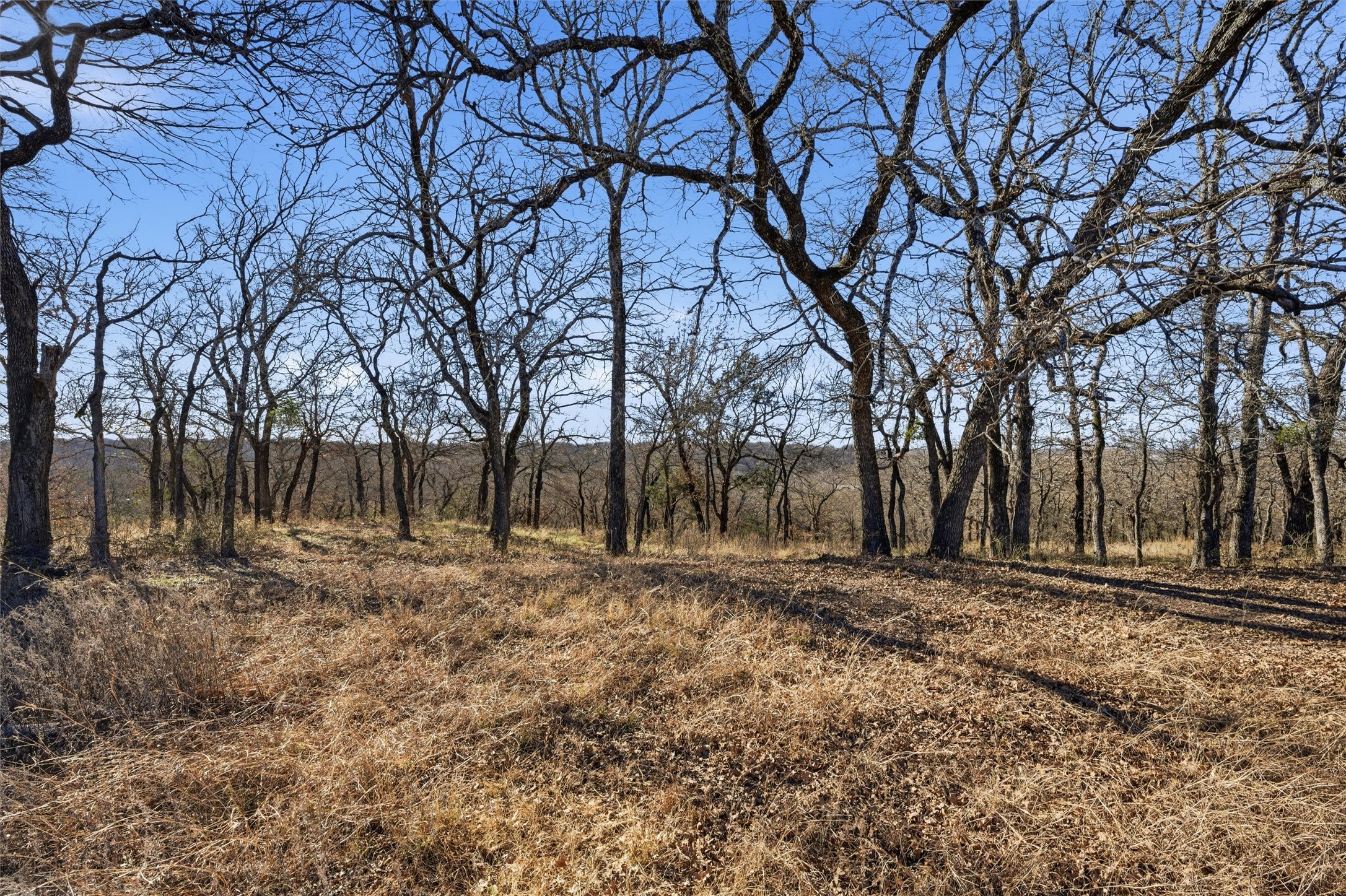 Tbd Tokio Road West TX 76691