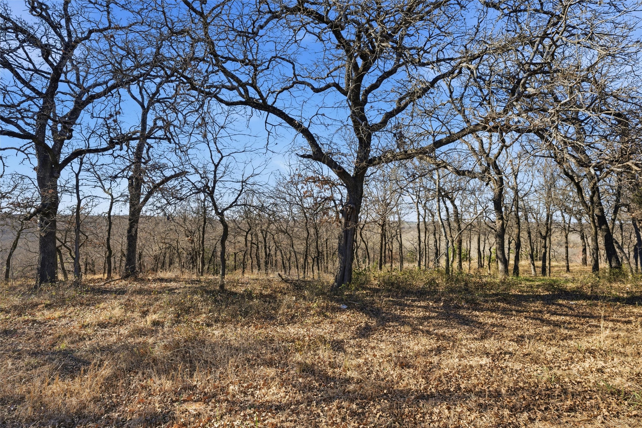 Tbd Tokio Road West TX 76691