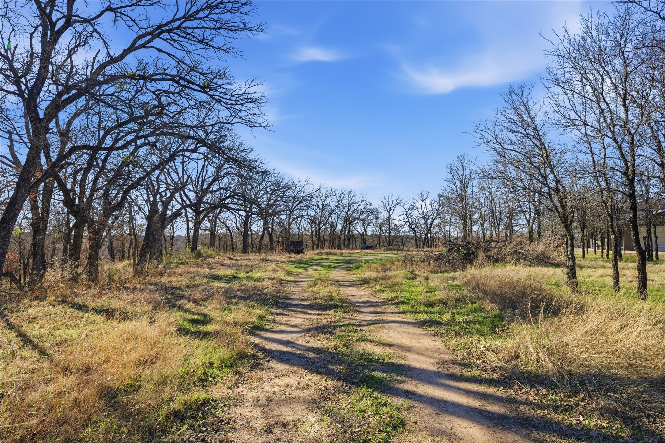 Tbd Tokio Road West TX 76691