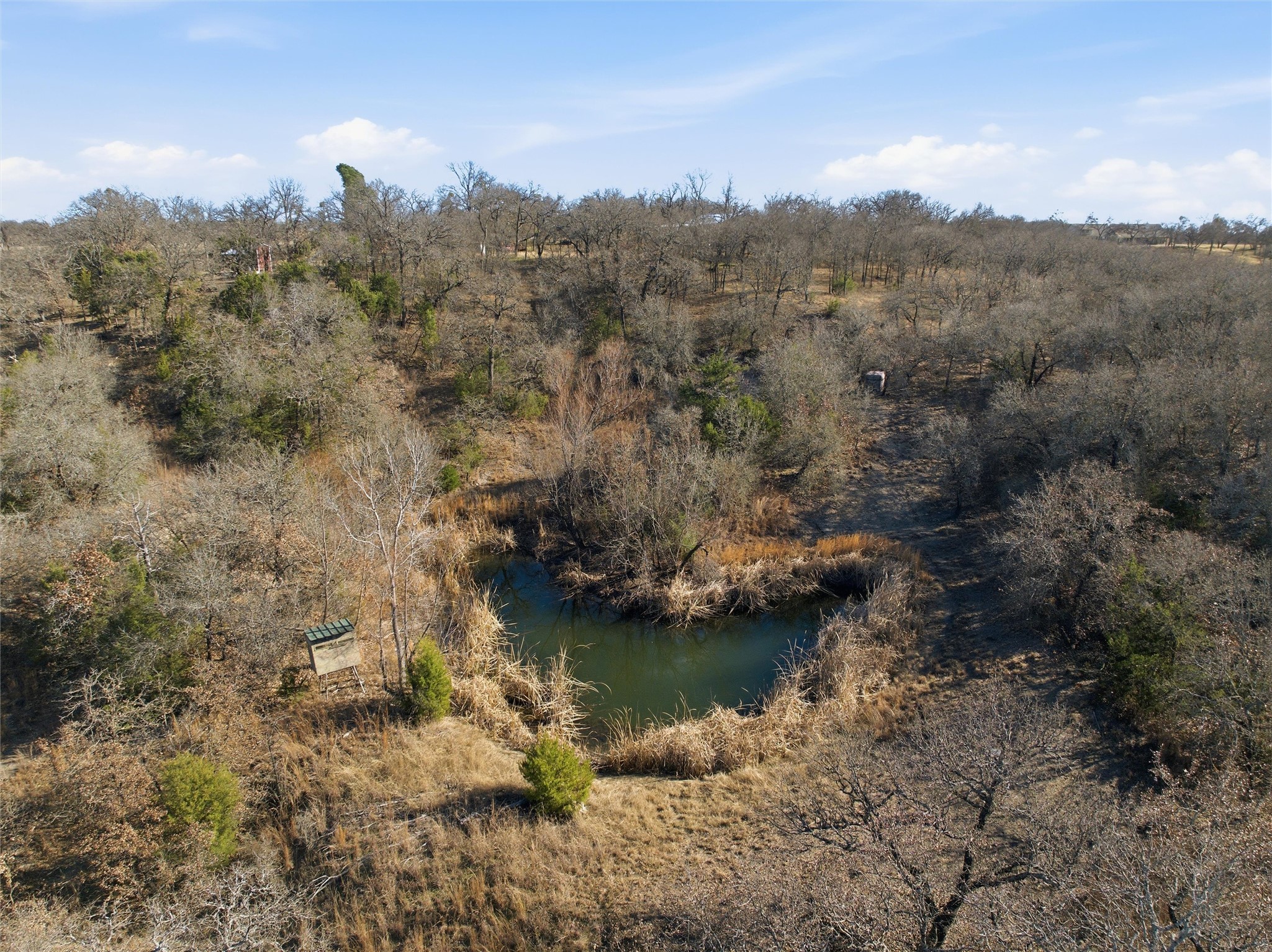 Tbd Tokio Road West TX 76691