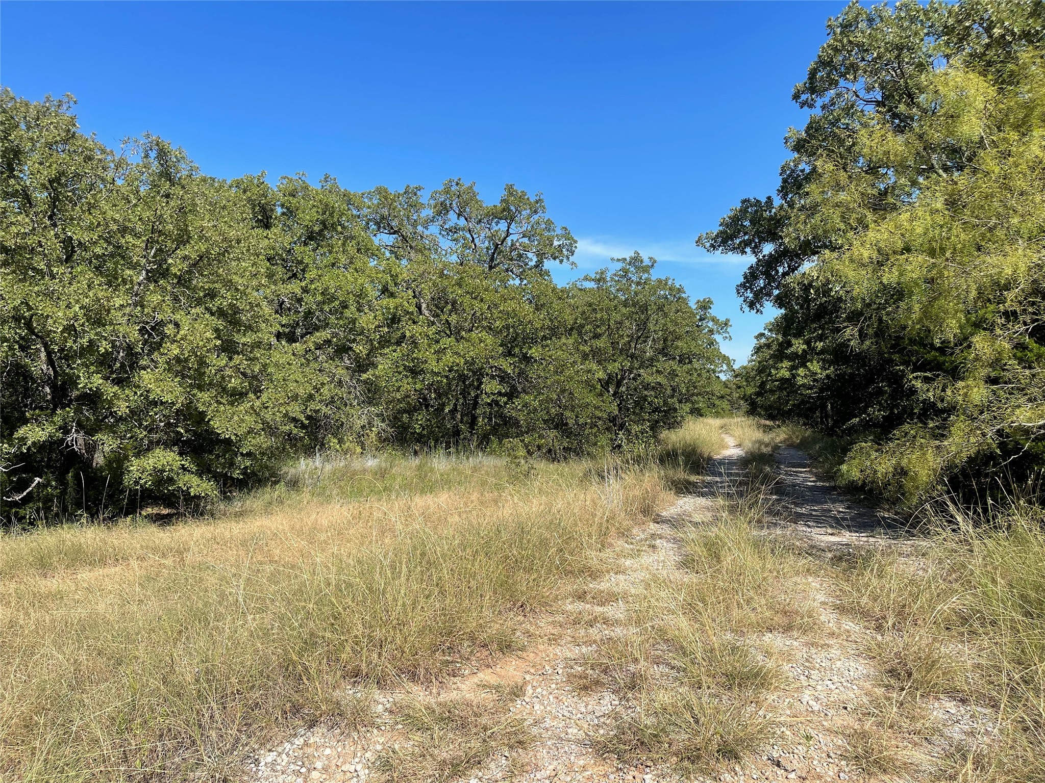 T B D Fm 2127 Bowie TX 76230