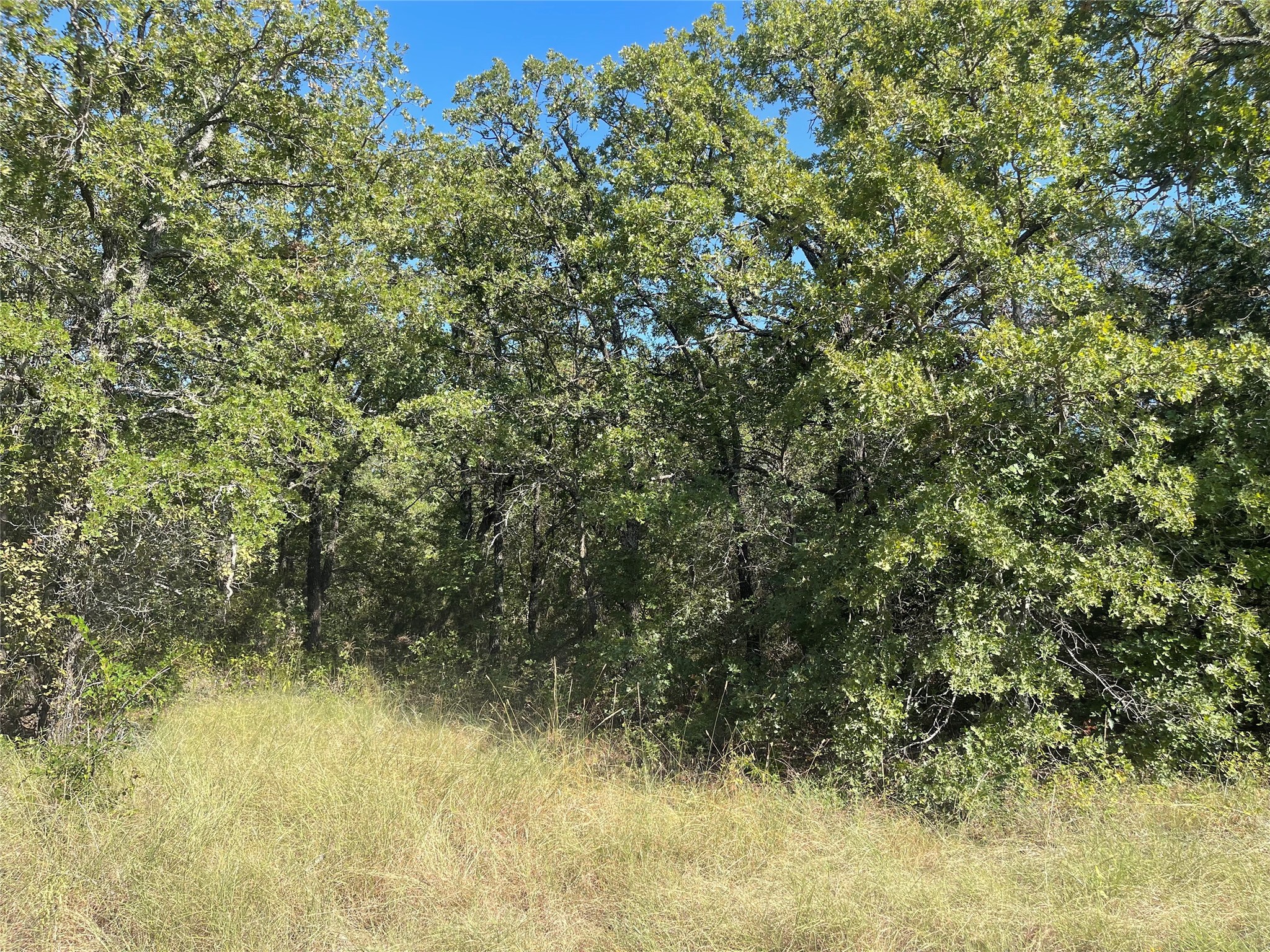 T B D Fm 2127 Bowie TX 76230
