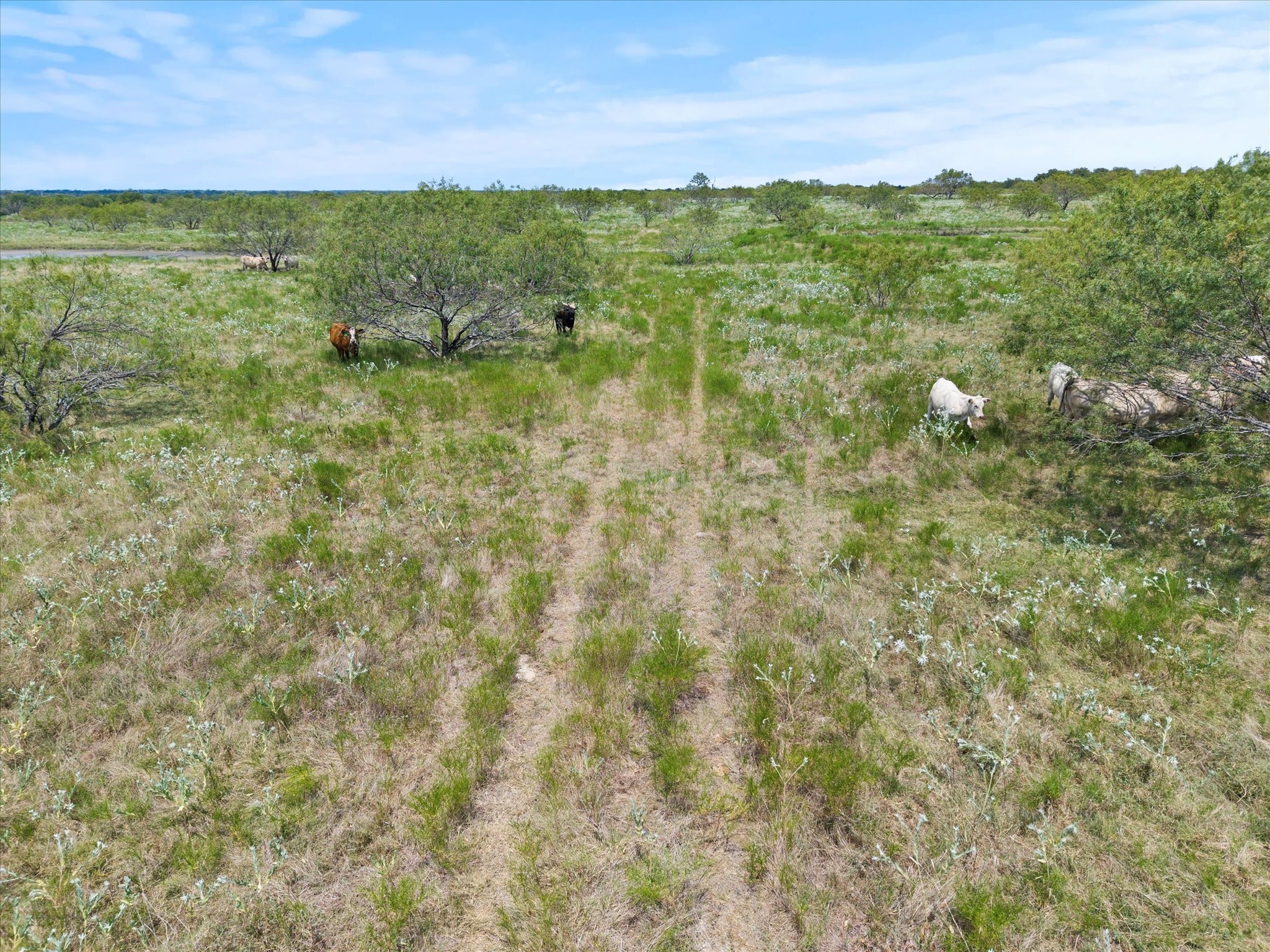 Tbd Fm 3486 Terrell TX 75160