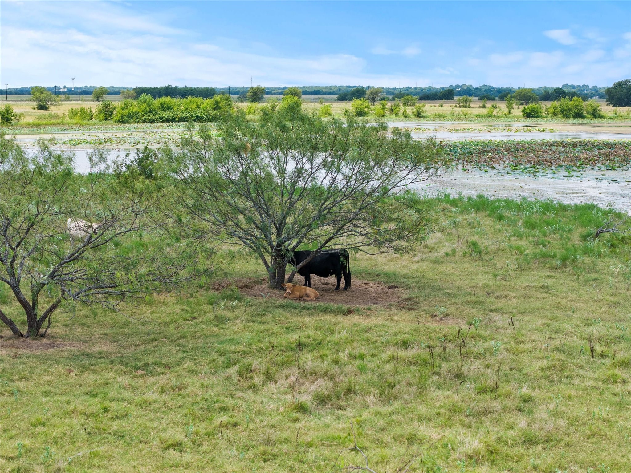 Tbd Fm 3486 Terrell TX 75160