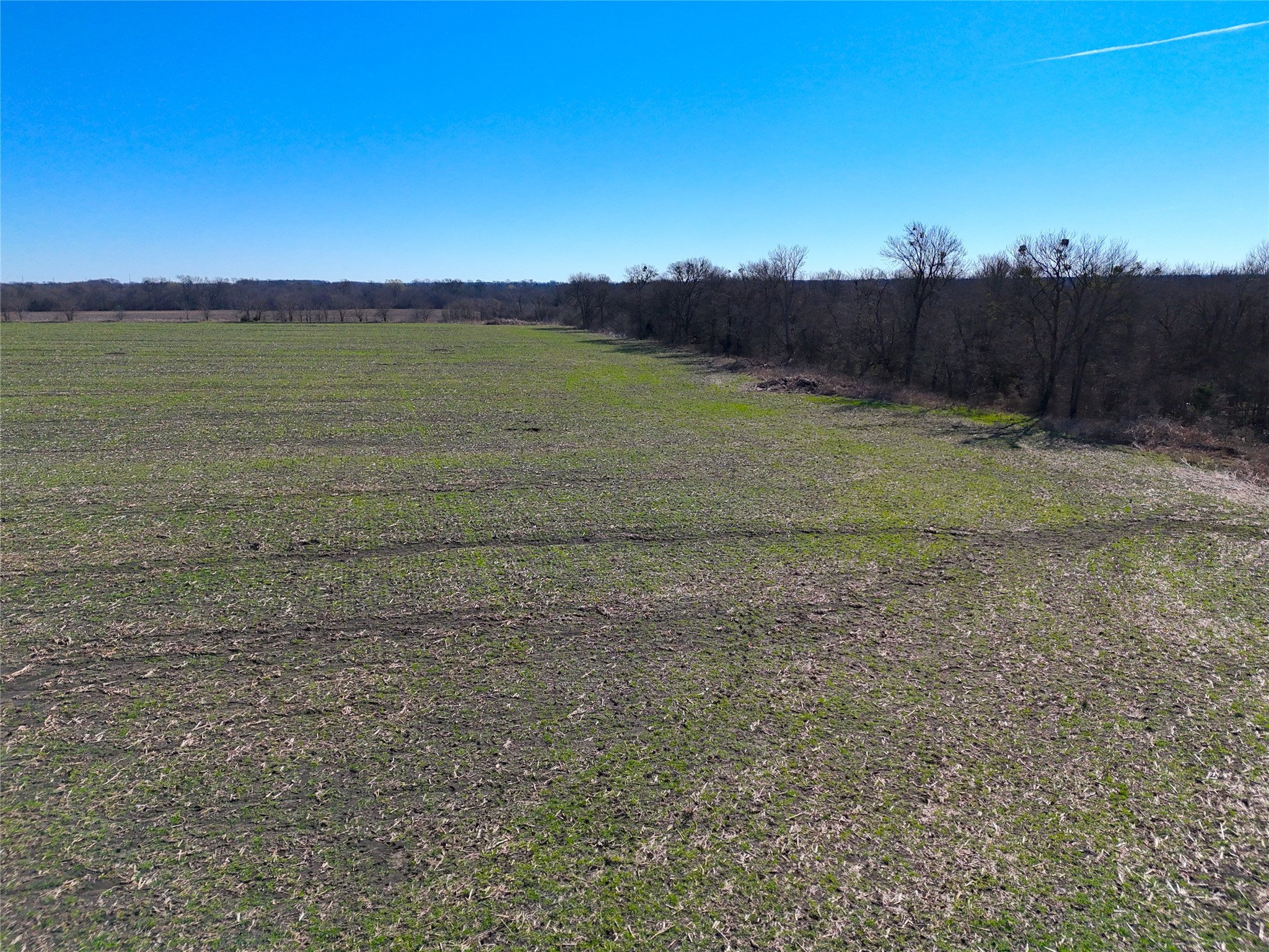 1500 Fm 198 Enloe TX 75432