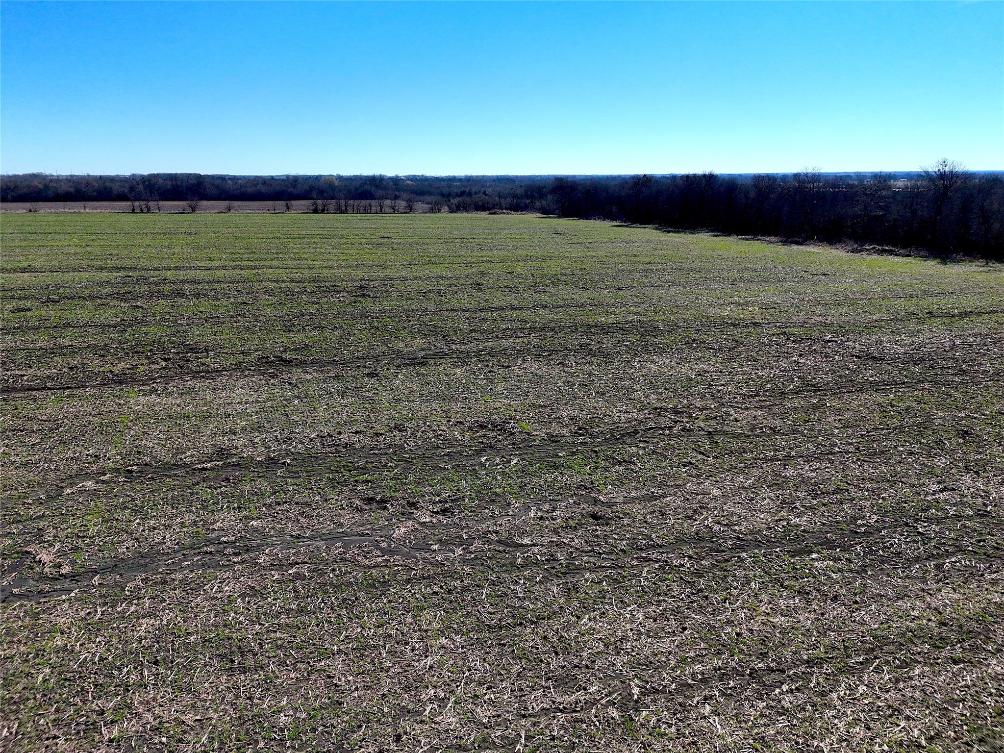 1500 Fm 198 Enloe TX 75432