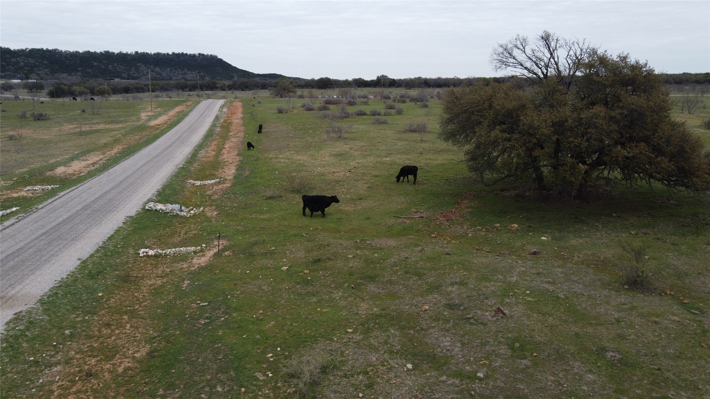 Lot 46 Barber Lakes Drive Mineral Wells TX 76067