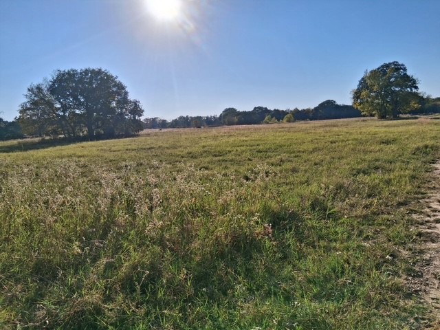 1071 County Road 2205 Ivanhoe TX 75447