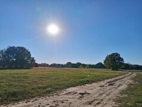 1071 County Road 2205 Ivanhoe TX 75447