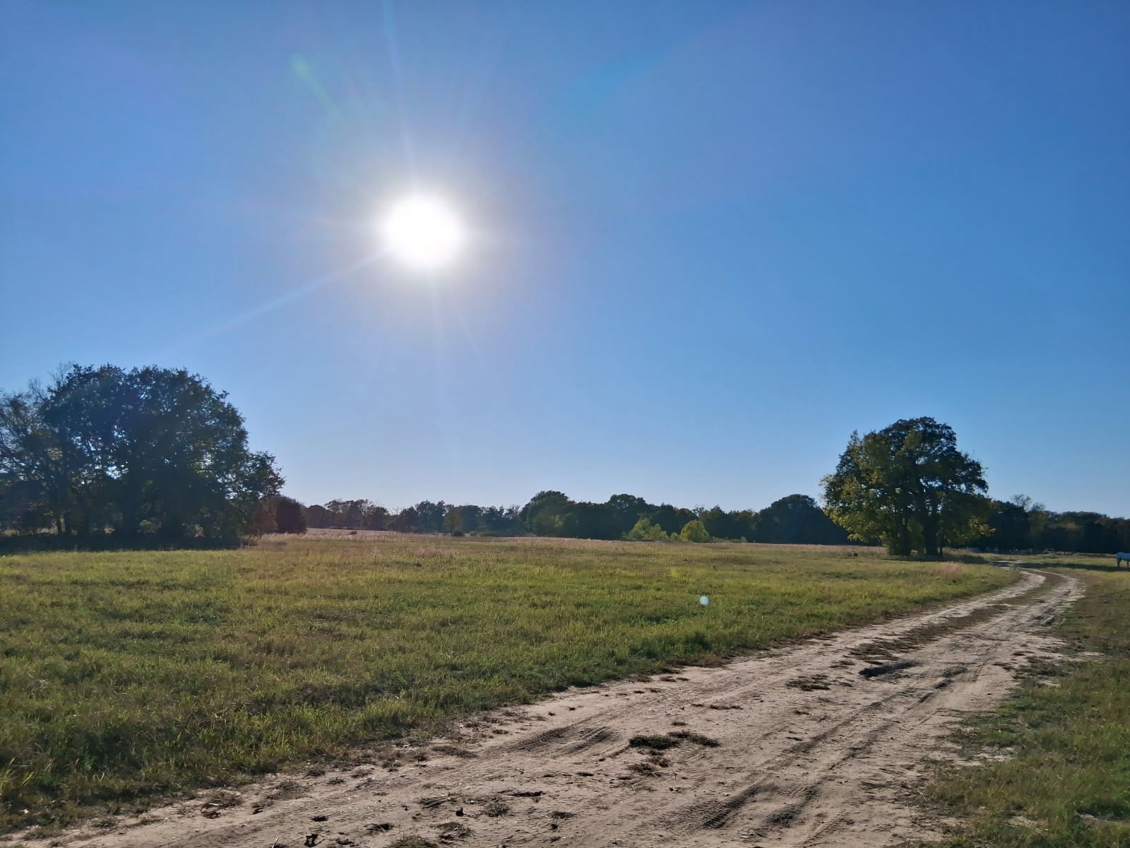 1071 County Road 2205 Ivanhoe TX 75447