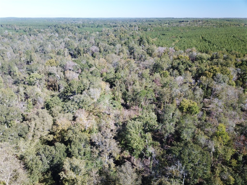 00 Off Evans Gann Road Hudson TX 75904