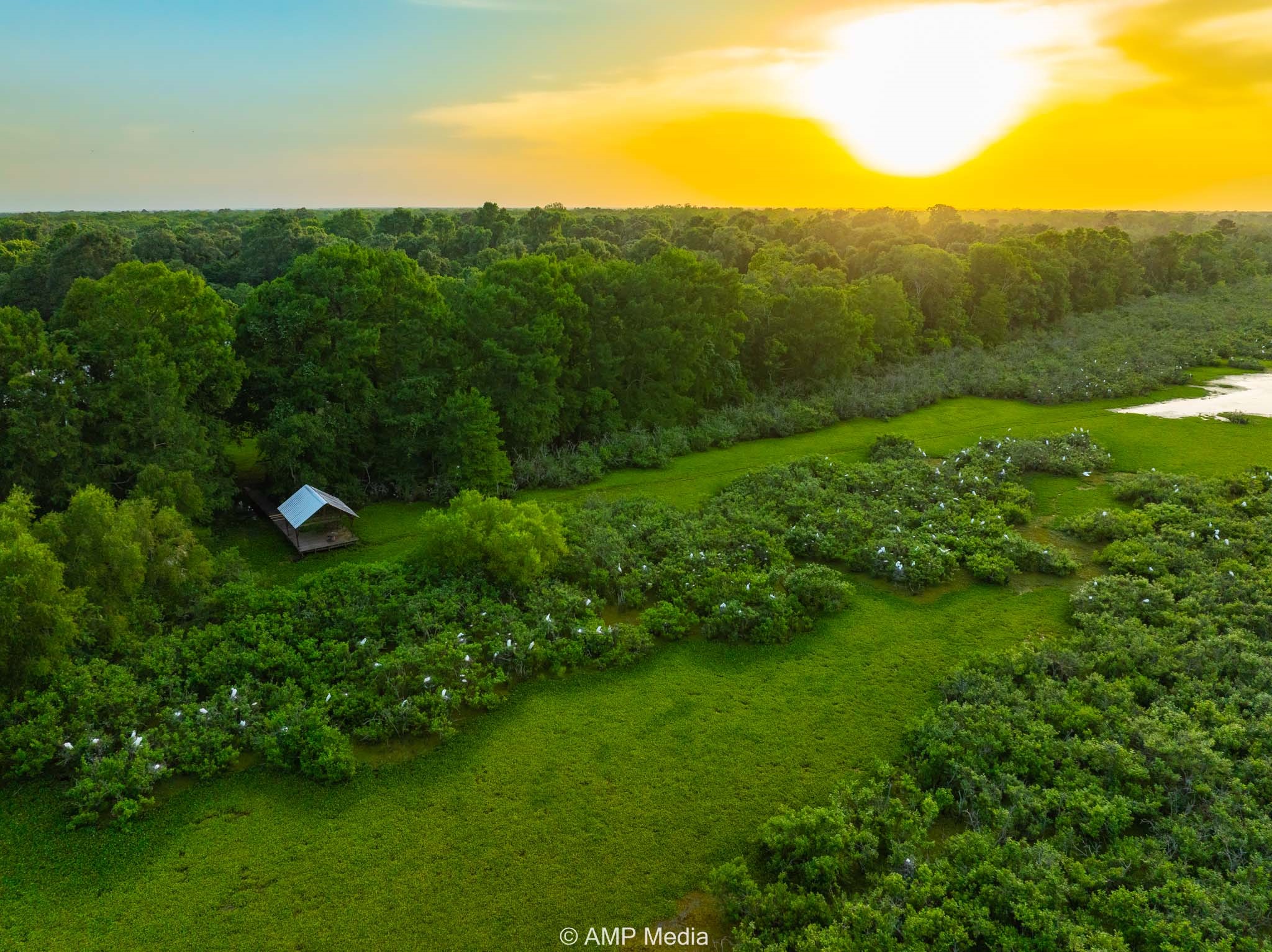 1180 County Road 2099 Liberty TX 77575