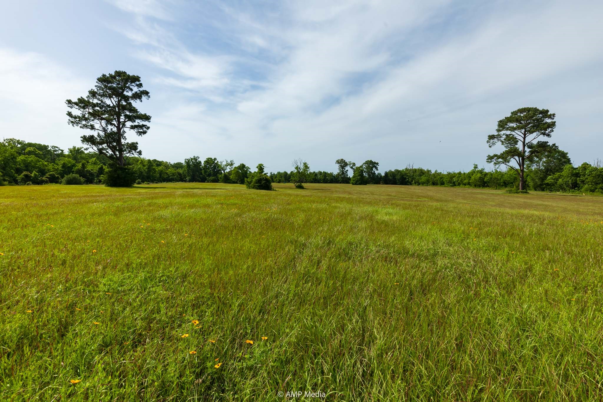 1180 County Road 2099 Liberty TX 77575
