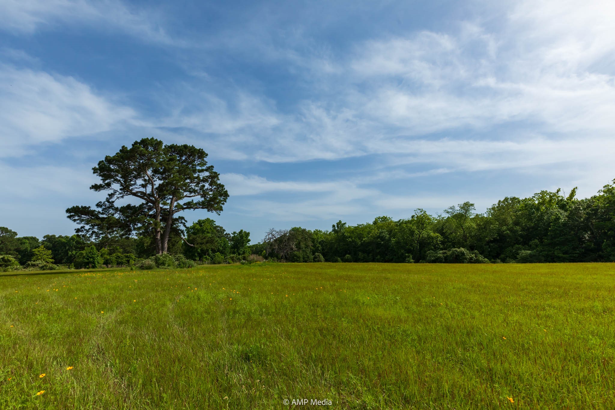1180 County Road 2099 Liberty TX 77575
