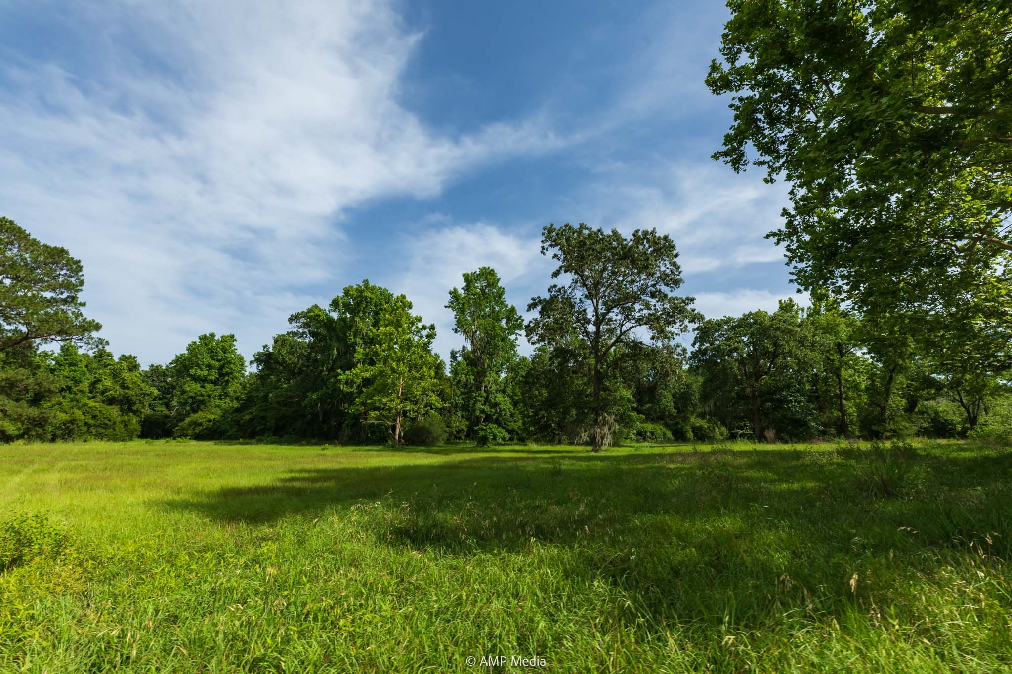 1180 County Road 2099 Liberty TX 77575