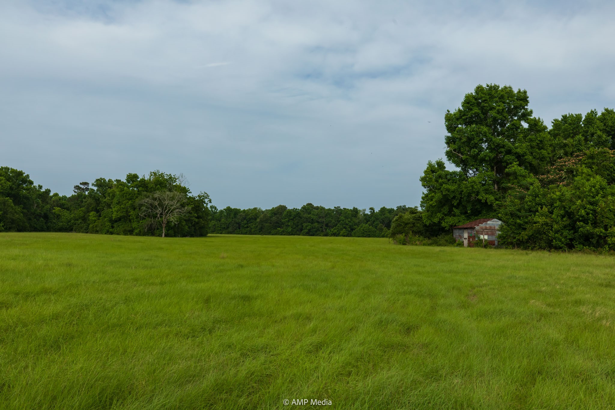 1180 County Road 2099 Liberty TX 77575