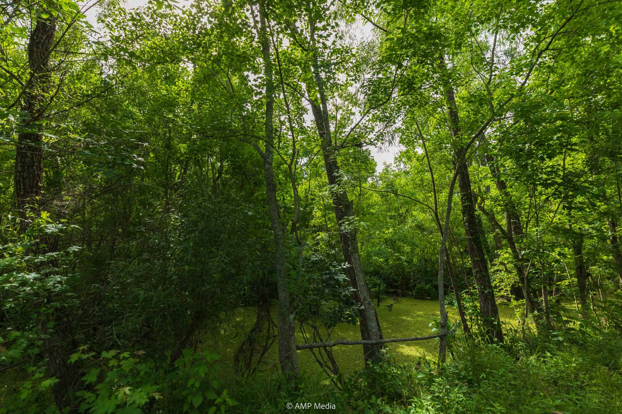 1180 County Road 2099 Liberty TX 77575