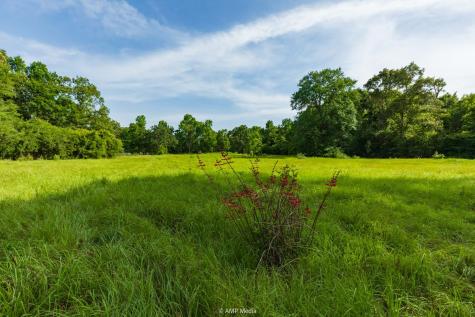 1180 County Road 2099 Liberty TX 77575