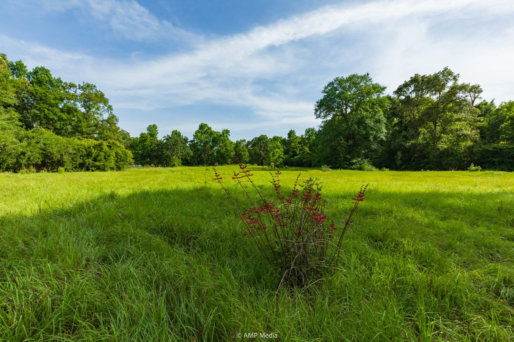1180 County Road 2099 Liberty TX 77575