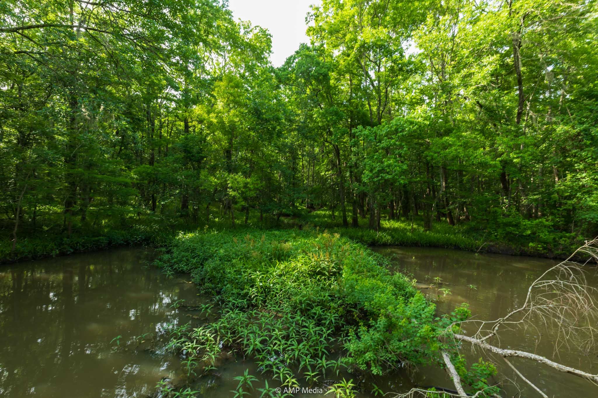 1180 County Road 2099 Liberty TX 77575