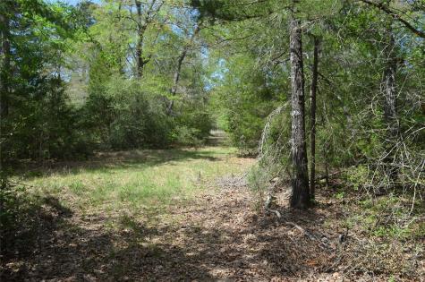 977 E Leona TX 75850