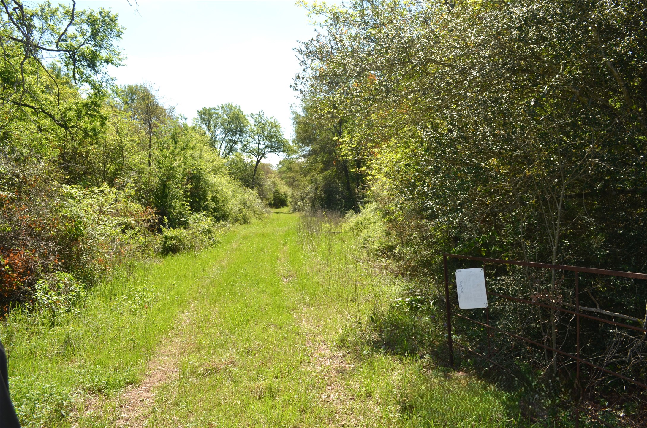 977 E Leona TX 75850