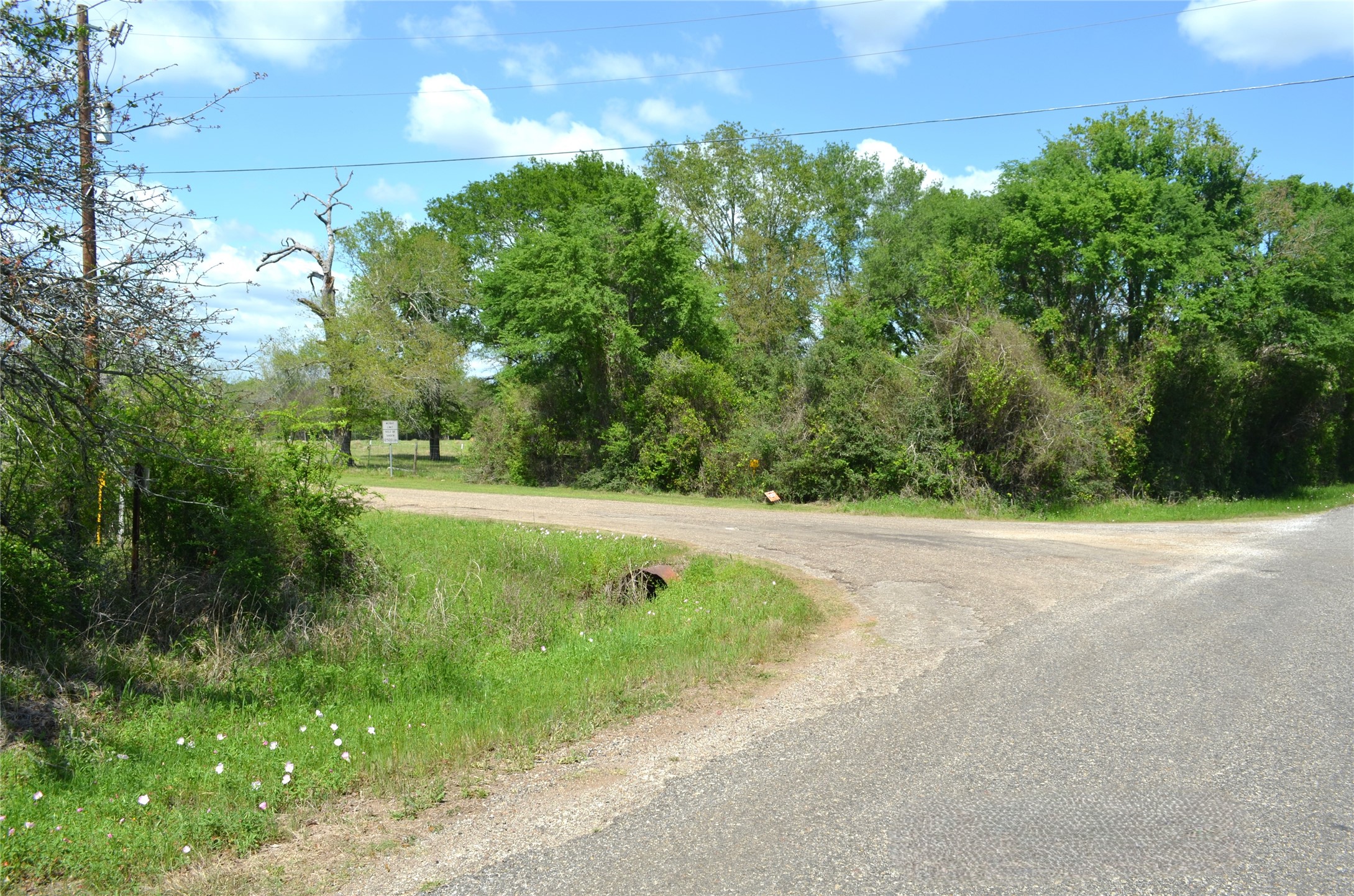 977 E Leona TX 75850
