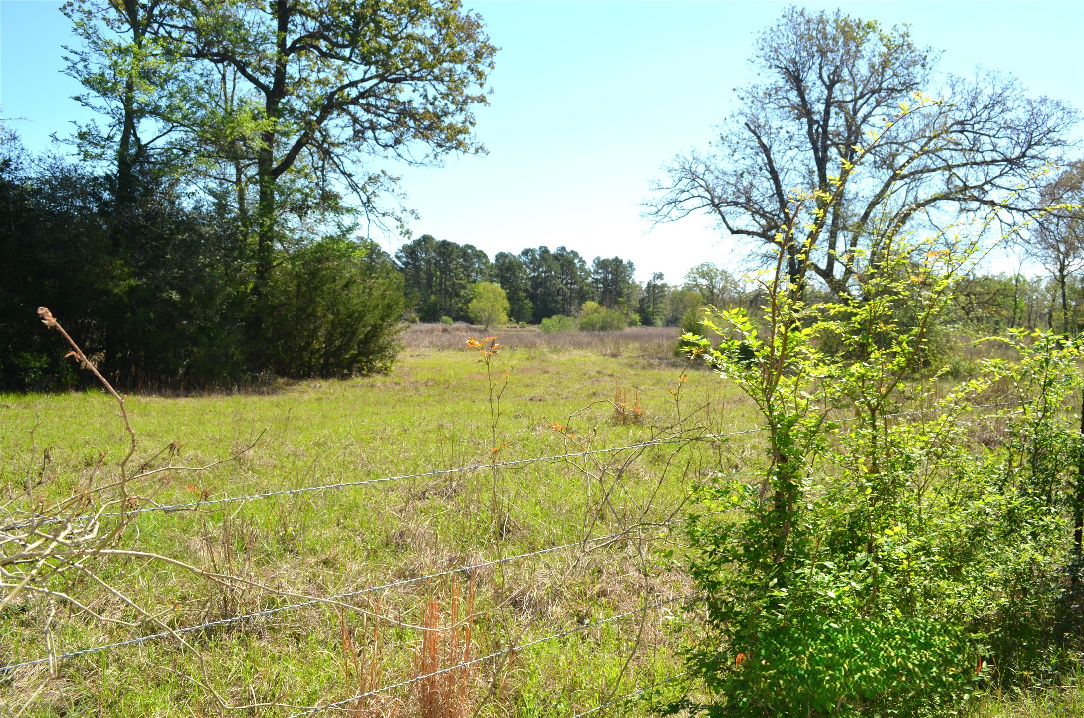 977 E Leona TX 75850