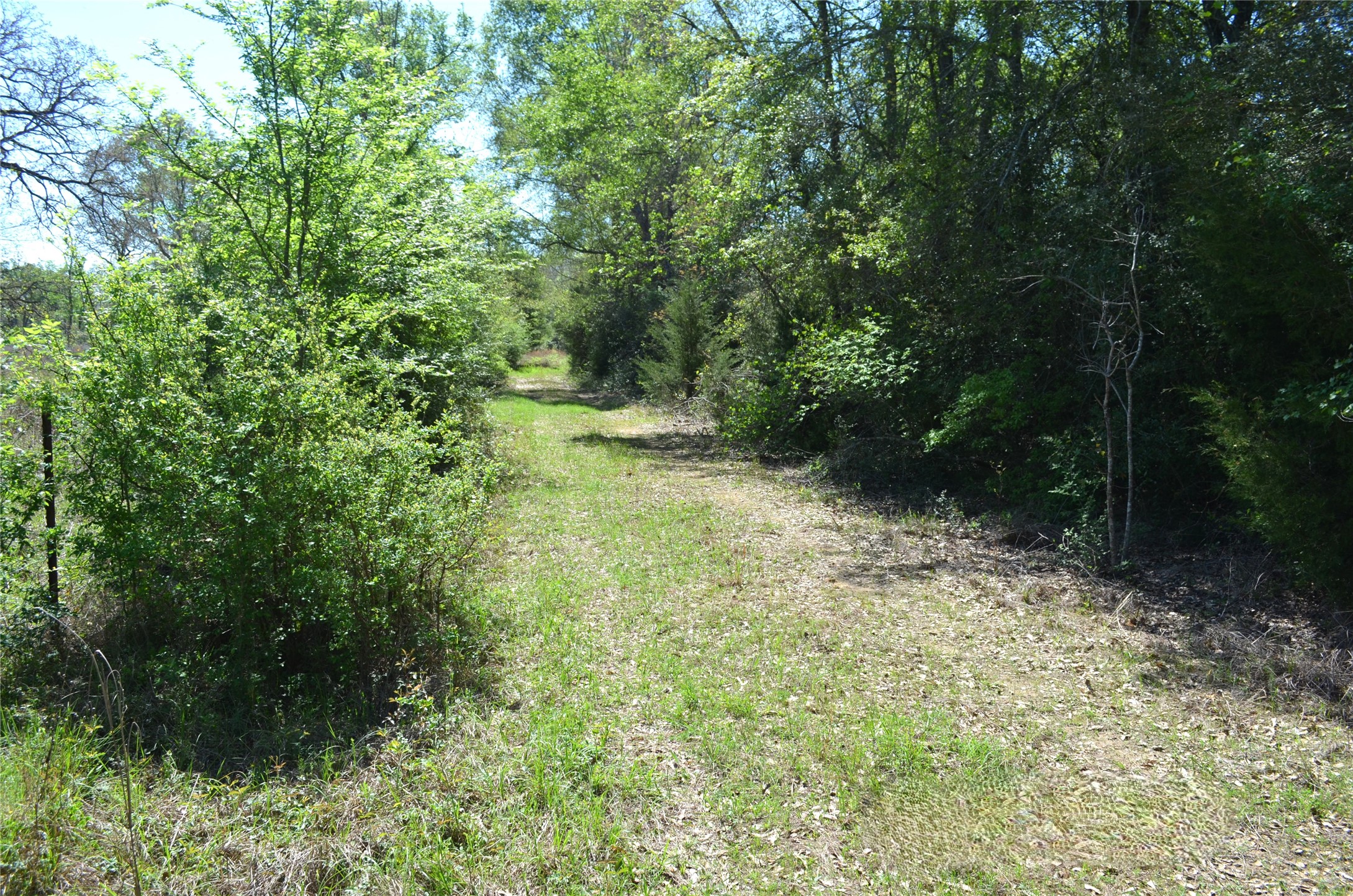 977 E Leona TX 75850