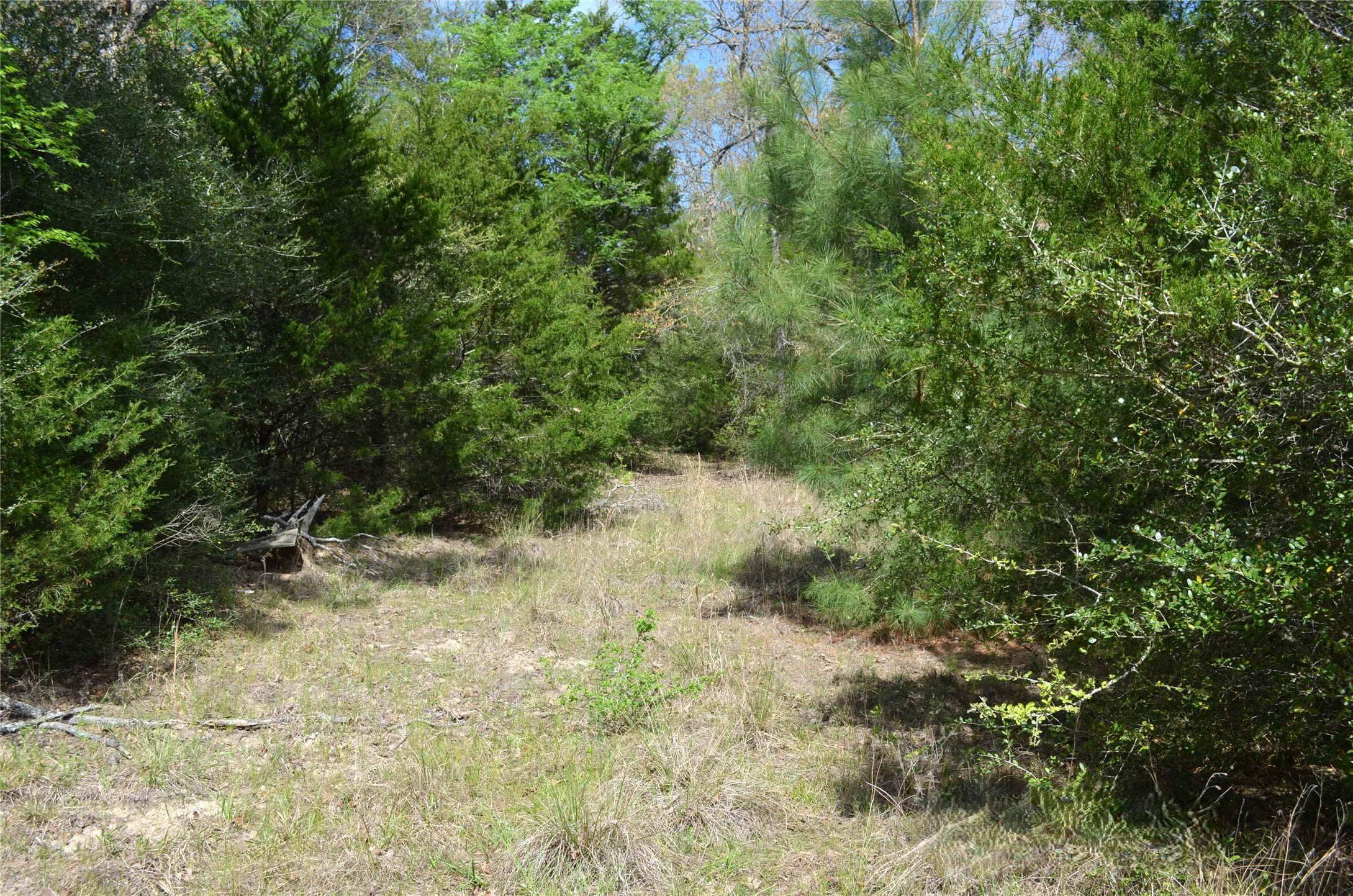 977 E Leona TX 75850