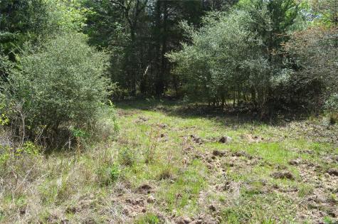 977 E Leona TX 75850