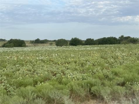 340 Private Road 4512 Decatur TX 76234