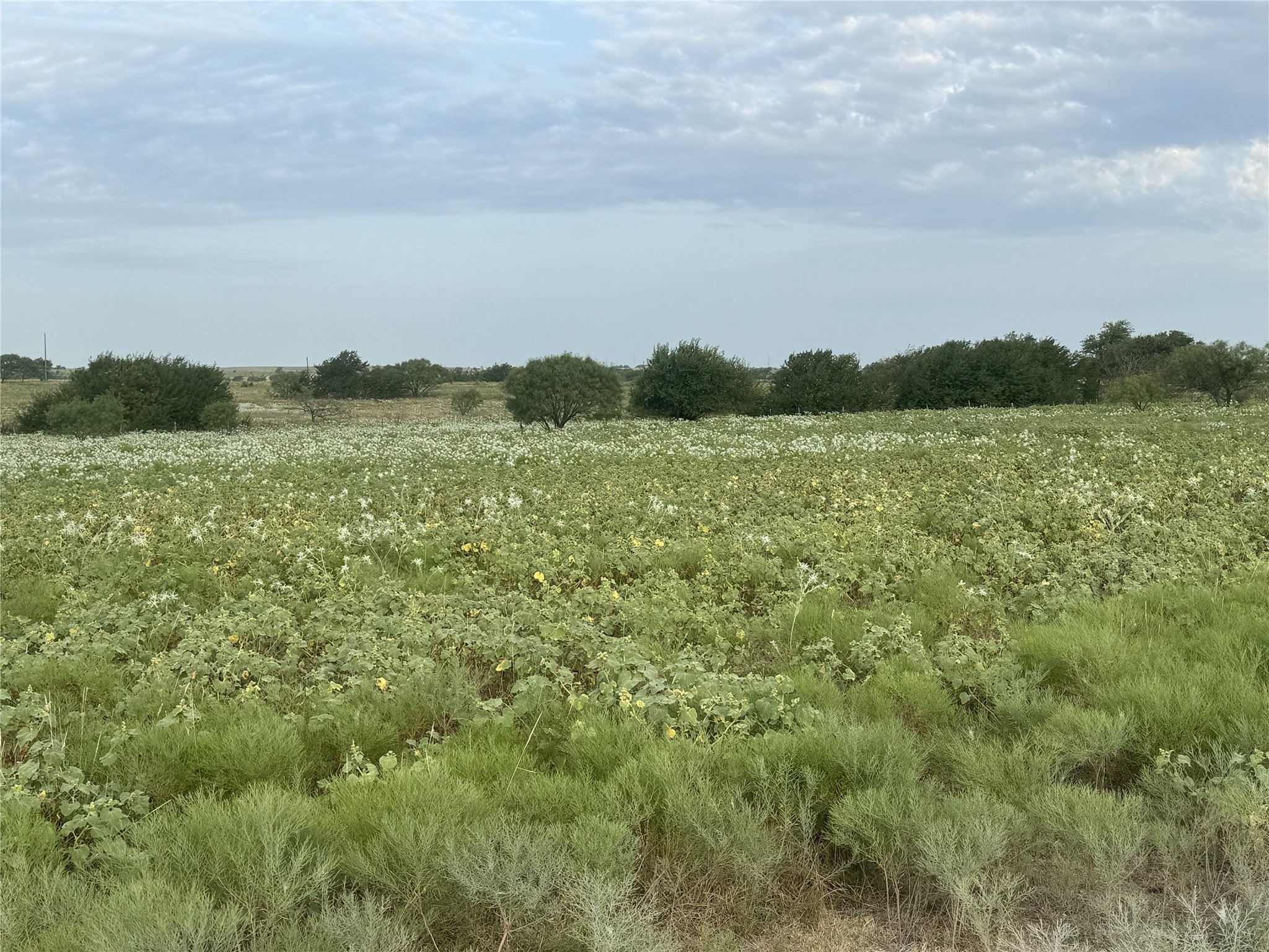 340 Private Road 4512 Decatur TX 76234