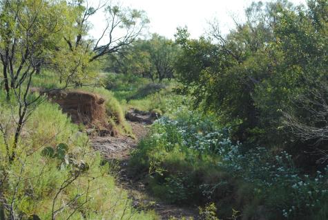 Tbd Cr 131 Comanche TX 76857