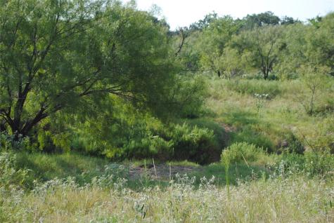 Tbd Cr 131 Comanche TX 76857