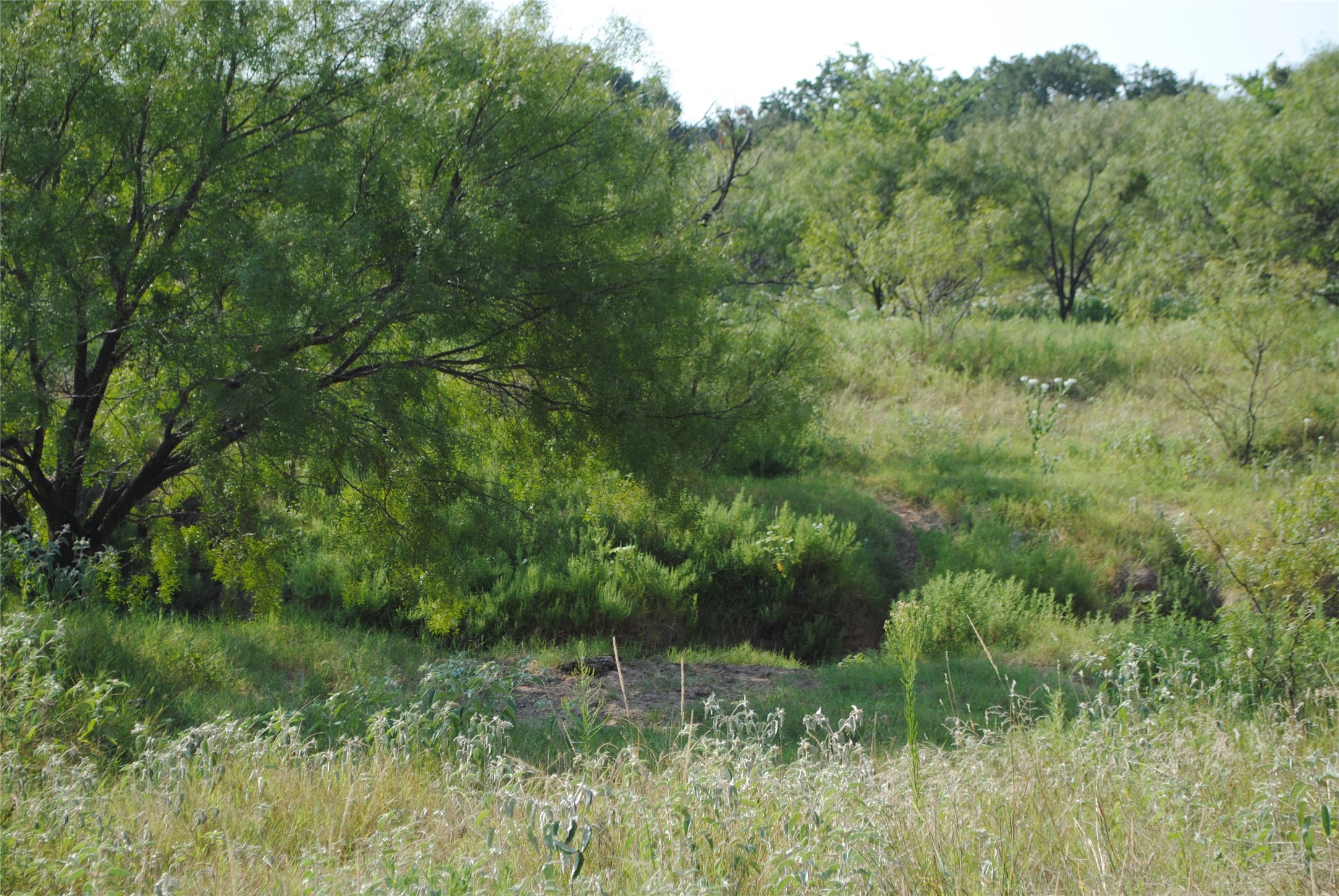 Tbd Cr 131 Comanche TX 76857